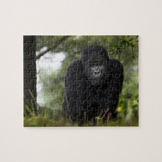 Mountain Gorilla en Silverback Legpuzzel (Horizontaal)