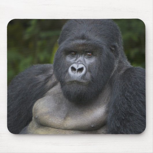 Mountain Gorilla en Silverback Muismat (Voorkant)