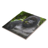 Mountain Gorilla en Silverback Tegeltje (Zijkant)