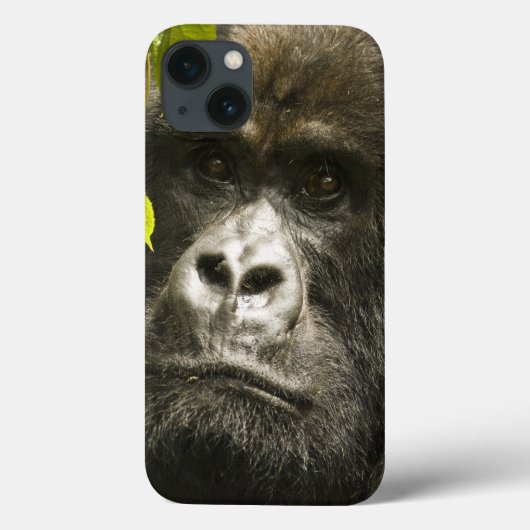 Mountain Gorilla, Gorilla beringei beringei, Case-Mate iPhone Case (Achterkant)