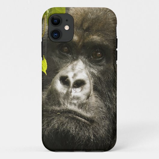Mountain Gorilla, Gorilla beringei beringei, Case-Mate iPhone Case (Achterkant)