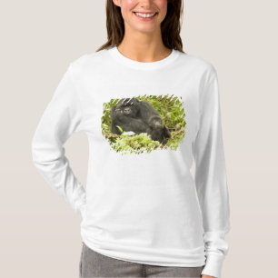 Mountain Gorilla, Gorilla beringei (voorheen G). T-shirt