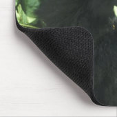 Mountain Gorilla (Gorilla gorilla beringei), Muismat (Hoek)