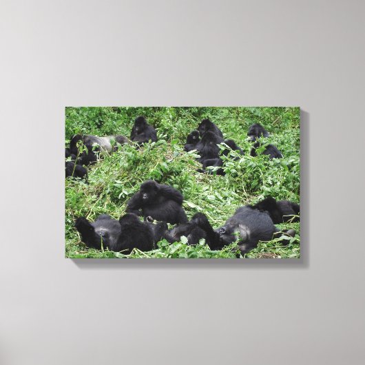 Mountain gorilla groep canvas print (Voorkant)