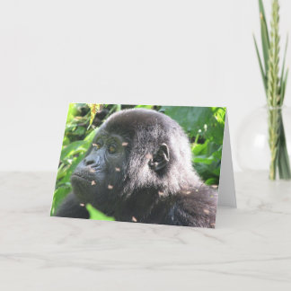 Mountain Gorilla Kaart