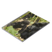 Mountain Gorilla, volwassen met jonge Notitieboek (Linkerzijde)
