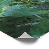 Mountain Gorillas Poster (Hoek)