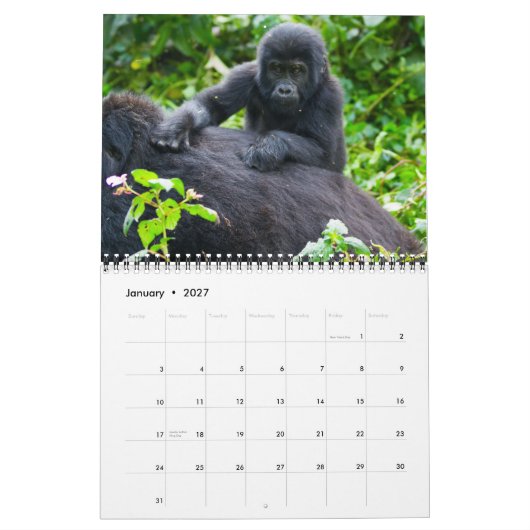 Mountain Gorillas van Oeganda Kalender (Jan 2027)