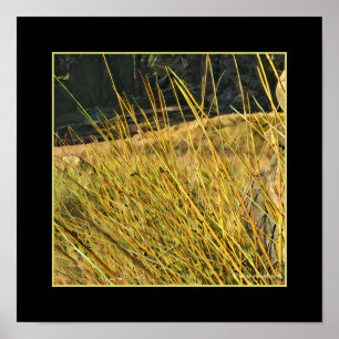 Mountain Grass Poster