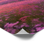 Mountain Lake Sunset Serenade Poster (Hoek)