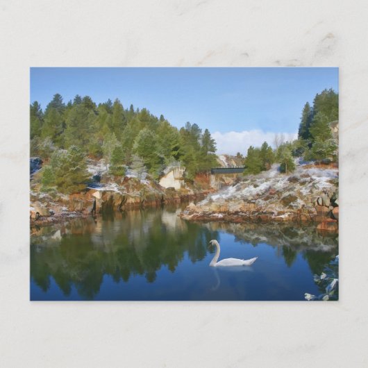 Mountain Lake, Swan, Réflexions Carte postale (Devant)