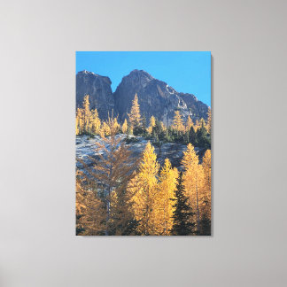 Mountain Larches Canvas Afdruk