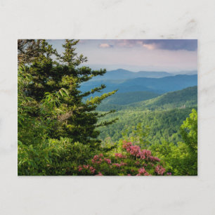Mountain Laurel bij zonsopgang Briefkaart