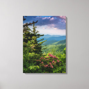Mountain Laurel bij zonsopgang Canvas Afdruk