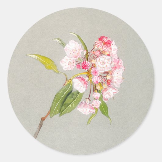 Mountain Laurel Bloem Sticker (Voorkant)