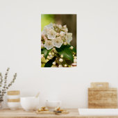 Mountain Laurel blooms Poster (Keuken)