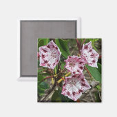 Mountain Laurel Flowers Magnet Magneet (Voorkant / Achterkant)
