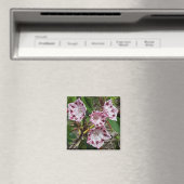 Mountain Laurel Flowers Magnet Magneet (Insitu (Vaatwasser))