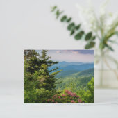 Mountain Laurel op Sunrise Briefkaart (Staand voorkant)