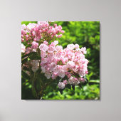  Mountain Laurel Pink Flowers Canvas Afdruk (Voorkant)
