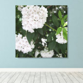 Mountain Laurel White Flowers Canvas Afdruk (Insitu (Houten vloer))