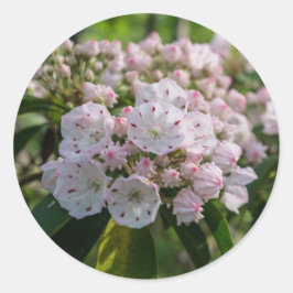 Mountain Laurel Wildflower Sticker