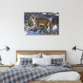 Mountain Lion Canvas Afdruk (Insitu (Slaapkamer))