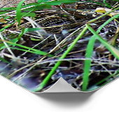 Mountain Lion Complaining Poster (Hoek)