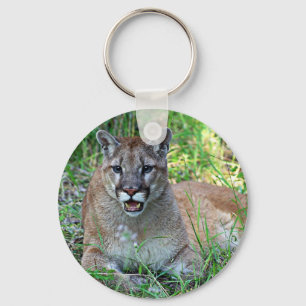 Mountain Lion Complaining Sleutelhanger