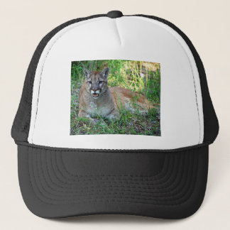 Mountain Lion Complaining Trucker Pet