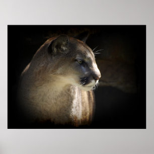 MOUNTAIN LION Cougar Big Cat Wildlife Poster