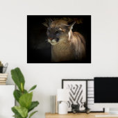 MOUNTAIN LION Cougar Big Cat Wildlife Poster (Thuiskantoor)