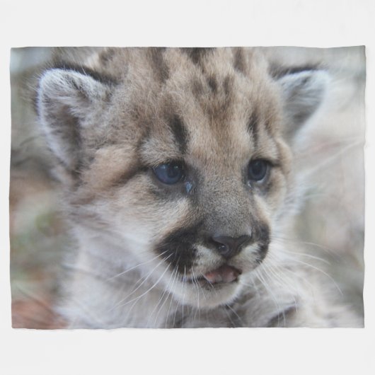 Mountain Lion Cub Fleece Deken (Voorkant (Horizontaal))