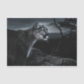 Mountain Lion Decoupage Tissuepapier (Voorkant)