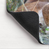 Mountain Lion - Hmmm Muismat (Hoek)