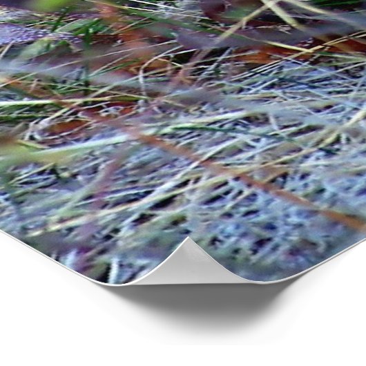 Mountain Lion - Hmmm Poster (Hoek)