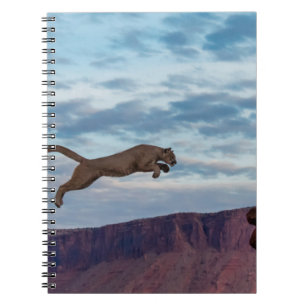 Mountain Lion Jumping Morning Skyspring,lion,anima Notitieboek