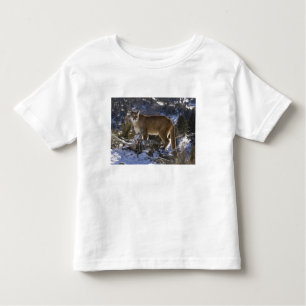 Mountain Lion Kinder Shirts
