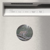 Mountain Lion Magneet (Insitu (Vaatwasser))