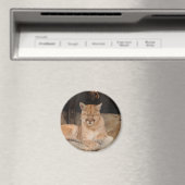 Mountain Lion Magneet (Insitu (Vaatwasser))