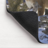 Mountain Lion Muismat (Hoek)