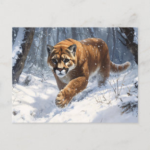 Mountain Lion op jacht in de sneeuwkunst Briefkaart