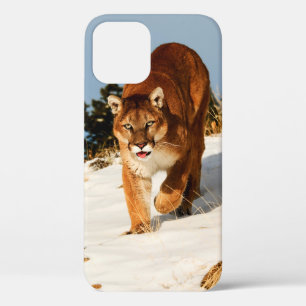 Mountain Lion op sneeuwheuvel iPhone 12 Hoesje