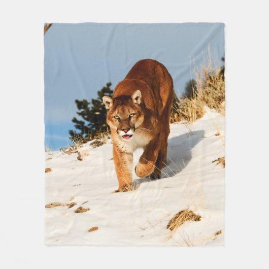 Mountain Lion op sneeuwheuvel Fleece Deken (Voorkant)