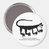 Mountain Lion Petroglyph Magneet (Voorkant / Achterkant)