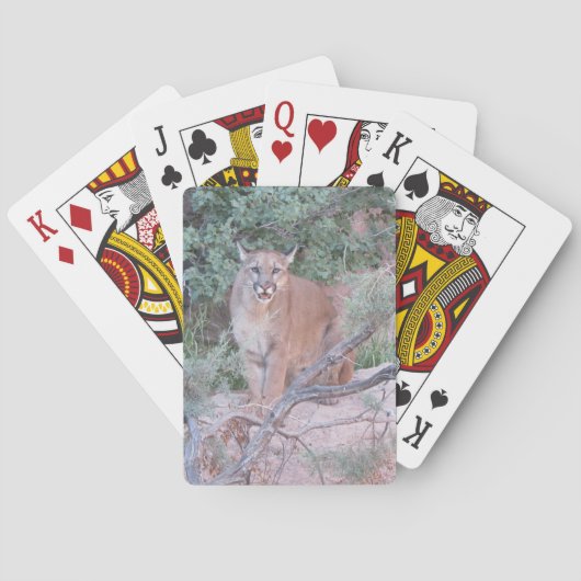 Mountain Lion Pokerkaarten (Achterkant)