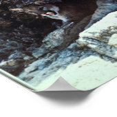 Mountain Lion Poster (Hoek)