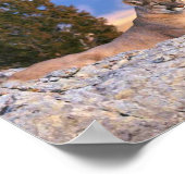 Mountain Lion Poster (Hoek)