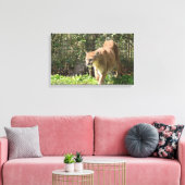 Mountain Lion Puma Cougar Canvas (Insitu (Woonkamer))