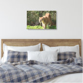 Mountain Lion Puma Cougar Canvas Afdruk (Insitu (Slaapkamer))